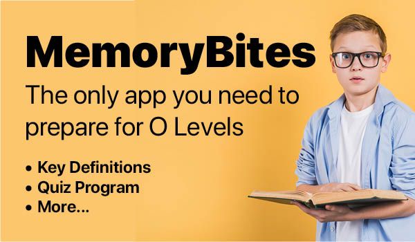Memory Bites banner