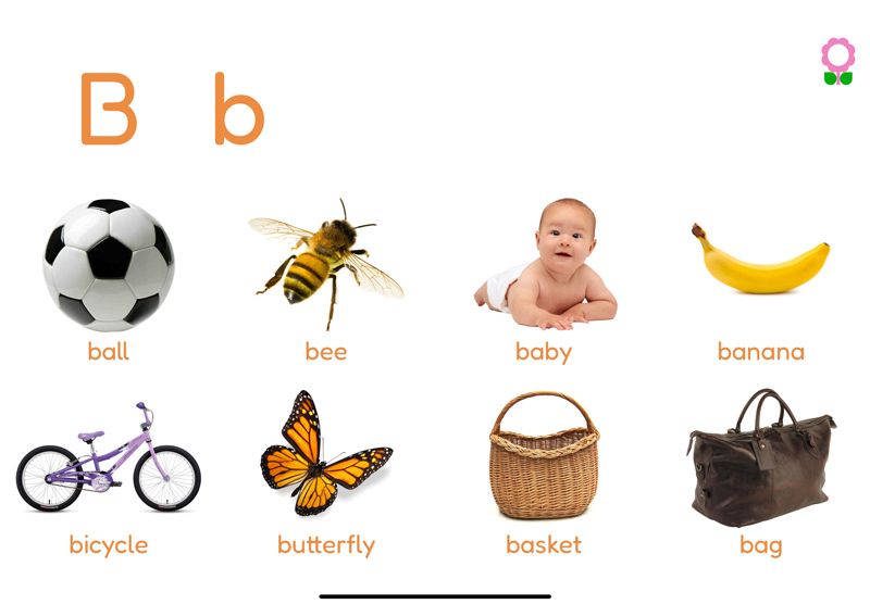 Words Starting with B