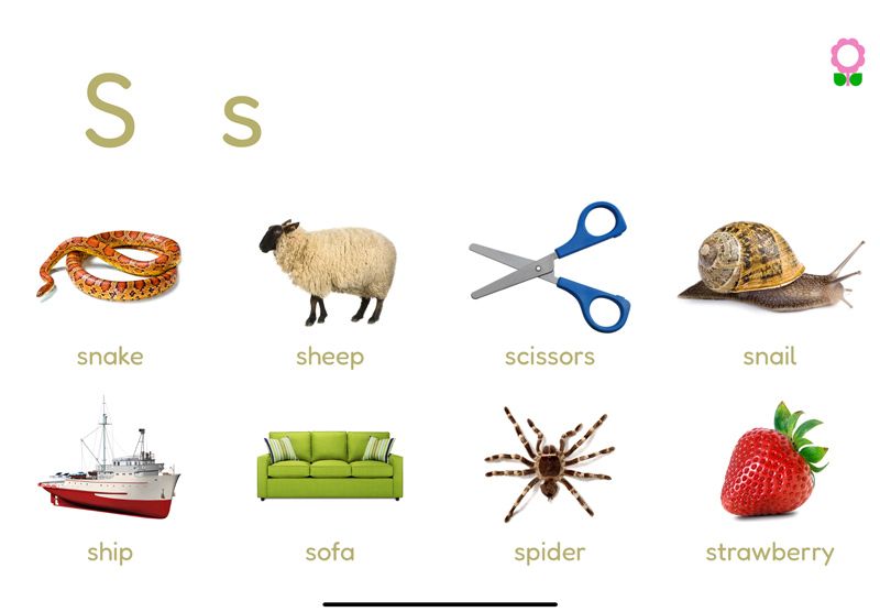 Words Starting with S